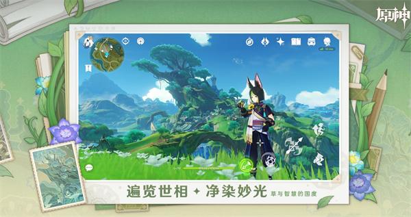 原神须弥木晶蝶采集指南：全面解析木晶蝶位置分布1