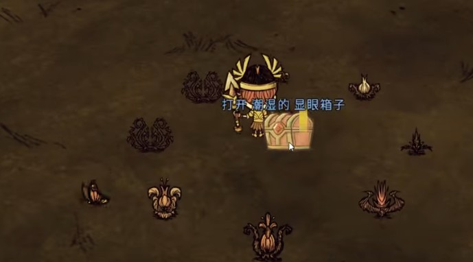 饥荒联机版显眼箱子是什么1
